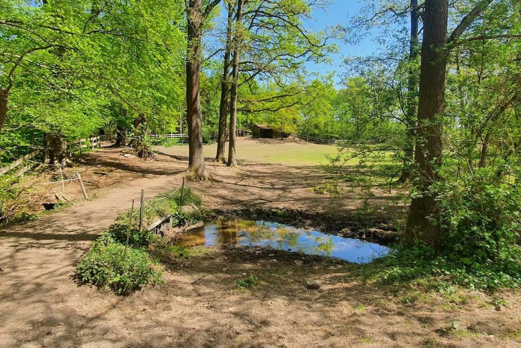 Pferdeparadies Untergruenhagen Bad Fallingbostel Exterior photo
